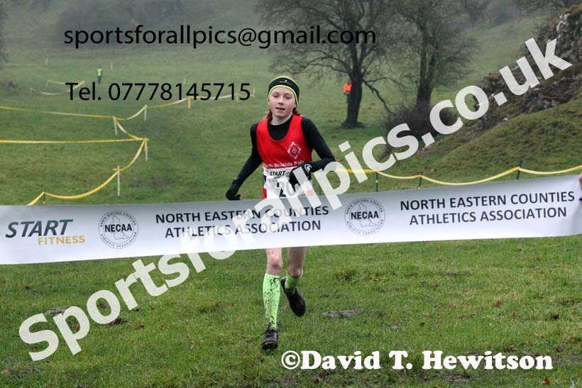 Girls under-13s, NECAA Junior Cross Country Relays, Thornley Farm, Peterlee, Saturday, December 12th. Photo: David T. Hewitson/Sports for All Pics